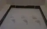 SLA SLA